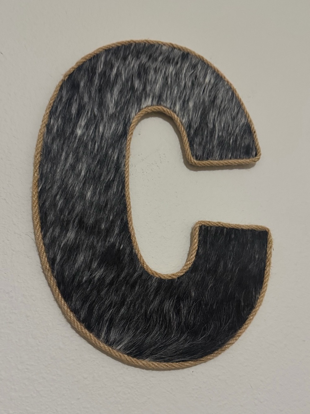 Cowhide C Wall Decor